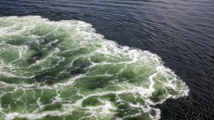 EU-Staaten pr&uuml;fen Sanktionen gegen russische "Schattenflotte"