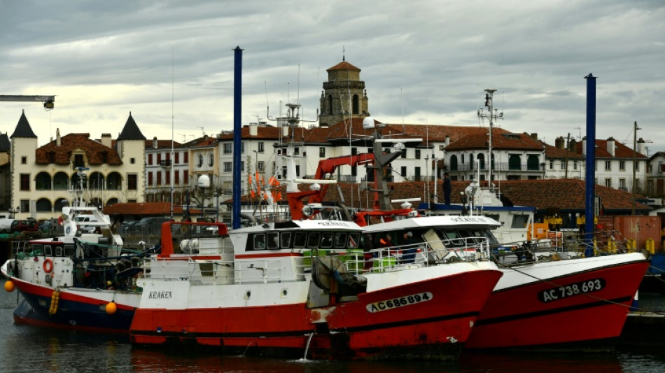 P&ecirc;che fran&ccedil;aise: une &eacute;tude analyse les &eacute;missions de carbone et d&eacute;nonce un "&eacute;cart abyssal" entre les bateaux