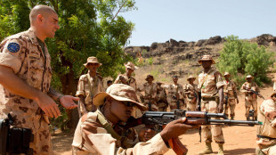 Ue, 'missione europea in Mali terminer&agrave; il 18 maggio'