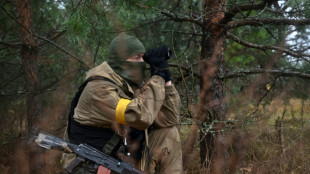 Ukraine: l'Iran reconna&icirc;t avoir livr&eacute; des drones &agrave; la Russie