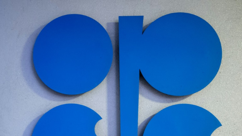 Opec rechnet bis 2045 mit steigender Nachfrage nach &Ouml;l