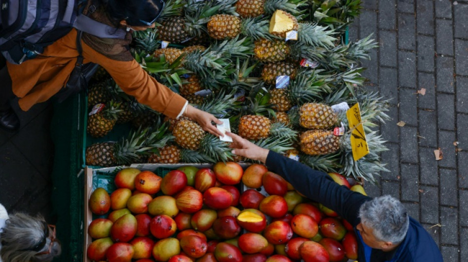 Baja la inflaci&oacute;n en Alemania en marzo y se sit&uacute;a en 7,4% interanual
