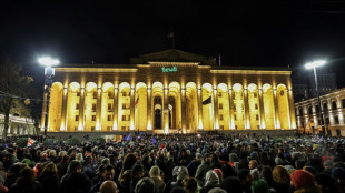 Adiamento de candidatura &agrave; UE gera dist&uacute;rbios na Ge&oacute;rgia