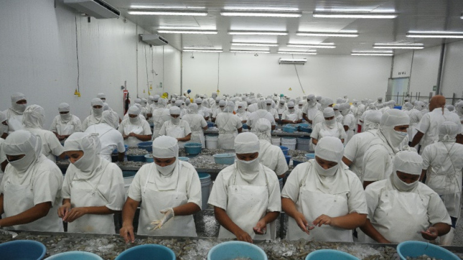 Zozobra en fincas camaroneras de Honduras ante fin del comercio con Taiw&aacute;n