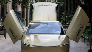 D&egrave;s son d&eacute;marrage commercial, le Cybercab de Tesla sous la loupe du r&eacute;gulateur am&eacute;ricain