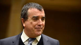 Soup&ccedil;ons d'abus de biens sociaux: le PDG Arnaud Lagard&egrave;re mis en examen