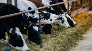 Konsum von Milch und Milchprodukten weiter gesunken