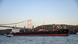 Sept cargos c&eacute;r&eacute;aliers quittent les ports ukrainiens apr&egrave;s une volte-face de la Russie