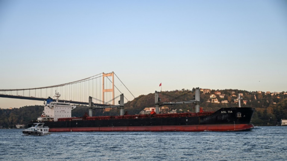 Ukraine: L'accord sur les c&eacute;r&eacute;ales en situation "difficile" selon l'ONU