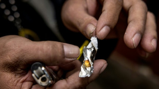 Interpol anuncia una incautaci&oacute;n "r&eacute;cord" de metanfetaminas en 18 pa&iacute;ses, incluido M&eacute;xico