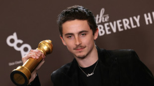 Chalamet, 'One Battle' among winners at Golden Globes