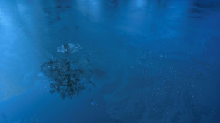 Tod von Geschwistern in zugefrorenem See in Th&uuml;ringen war Ungl&uuml;cksfall