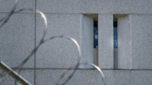 Le travail des d&eacute;tenus am&eacute;ricains rapporte des milliards de dollars mais eux touchent des "centimes" (rapport)