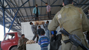 La econom&iacute;a israel&iacute; precisa a los trabajadores palestinos, afirma un l&iacute;der empresarial