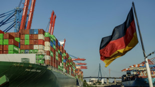 Alemania prev&eacute; autorizar una participaci&oacute;n china reducida en el puerto de Hamburgo
