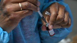 La vacunaci&oacute;n de emergencia reduce las muertes en un 60%, seg&uacute;n estudio