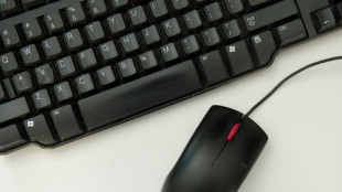 Polizei und Zoll warnen vor betr&uuml;gerischen Jobs als Tester von Onlinebanking