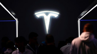 Betriebsratswahl bei Tesla in Gr&uuml;nheide beendet: IG Metall liegt vorn