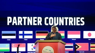 EAU demandado en EEUU por "oscura" campa&ntilde;a de relaciones p&uacute;blicas