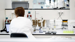 Un ecosistema digitale per i dati clinici europei su tumori rari