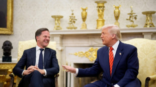 Flatterer-in-chief: How NATO's Rutte worked to win over Trump