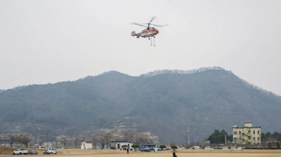 Incendies en Cor&eacute;e du Sud: les flammes reprennent apr&egrave;s avoir &eacute;t&eacute; &eacute;teintes