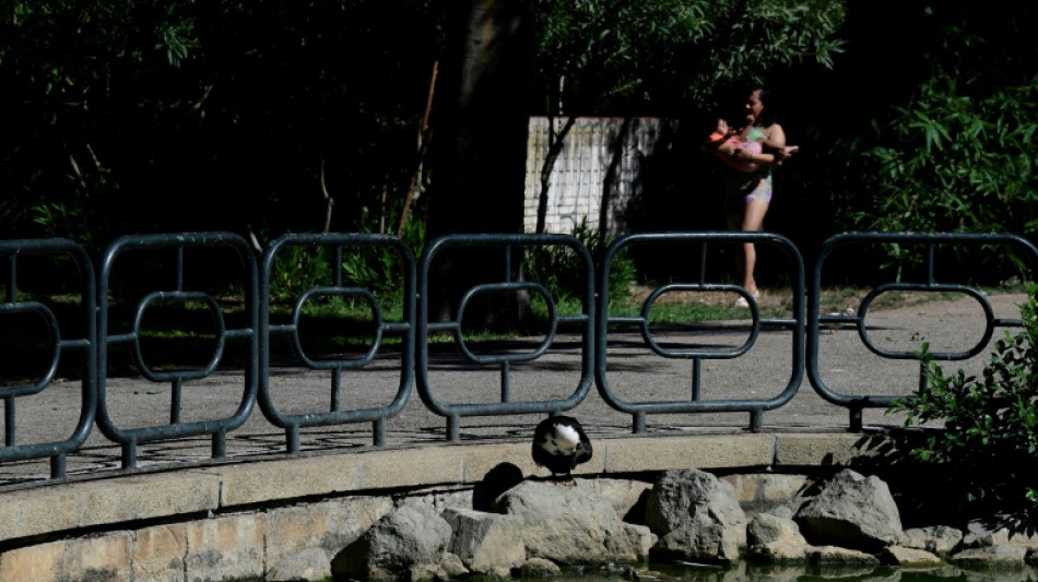 Bird flu outbreak shuts parks in Spain's Andalusia