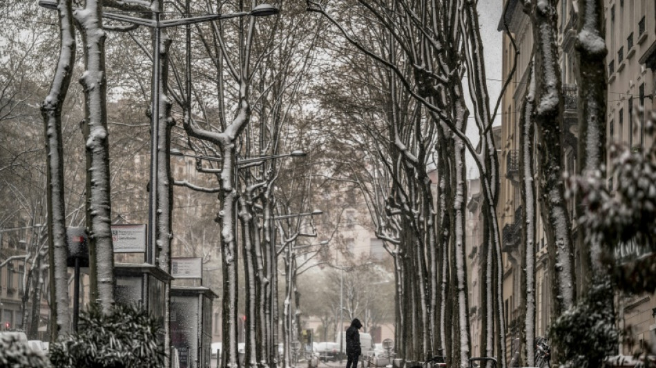 "No&euml;l au balcon, P&acirc;ques aux tisons": d&eacute;but avril, la France agricole en mode combat face au froid