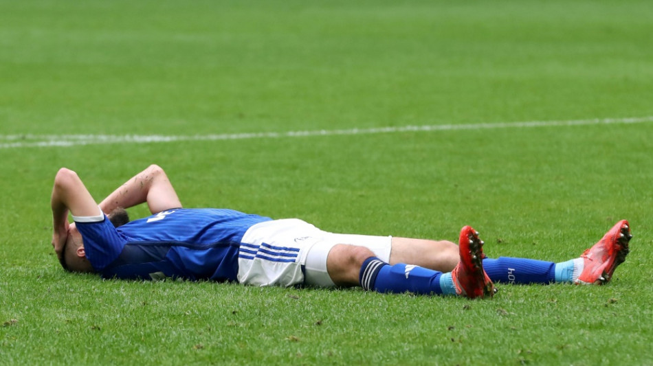 Schalke 04 st&uuml;rzt gegen Hertha BSC tiefer in die Krise 