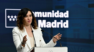 Denuncian por fraude fiscal al novio de una estrella de la derecha espa&ntilde;ola