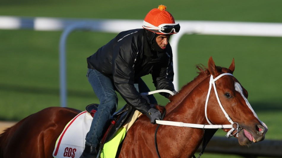 Kentucky Derby winner Mage will race at Preakness