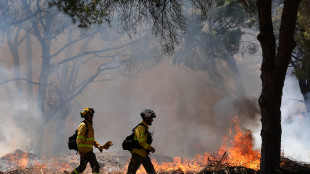 Almeno 102 morti da sabato per caldo record in Spagna
