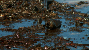 Un puerto del sur de Inglaterra presenta una gran fuga de petr&oacute;leo