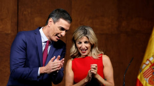 Spain's Socialists reach coalition deal with hard-left
