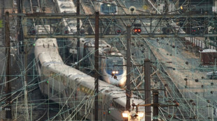 Compa&ntilde;&iacute;as ferroviarias y sindicatos de EEUU logran "acuerdo de principio" para evitar huelga