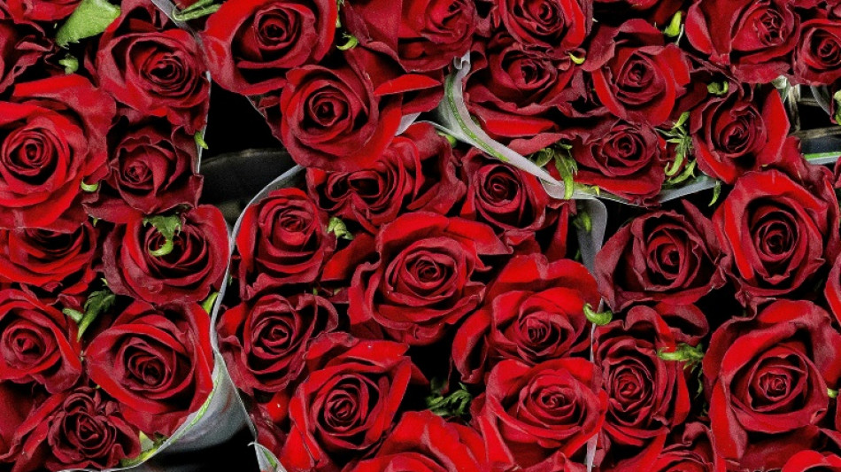 Preise rund um den Valentinstag: Schnittblumen im Februar in der Regel teurer