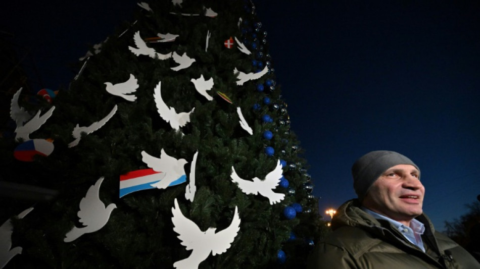 La Russie ne "volera" pas No&euml;l, assure le maire de Kiev en inaugurant un arbre festif