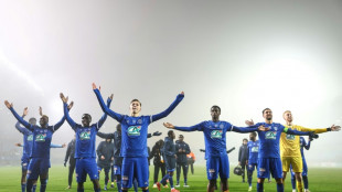 Coupe de France: Troyes surprend Rennes (1-0) et s'offre une parenth&egrave;se enchant&eacute;e