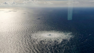 Rusia, dispuesta a suministrar gas a Europa a trav&eacute;s de la l&iacute;nea no da&ntilde;ada de Nord Stream 2