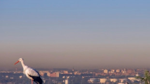 Madrid cumple por primera vez con el l&iacute;mite europeo de contaminaci&oacute;n