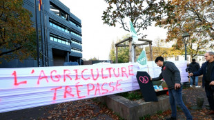 Taxe poids lourds: l'Alsace passe la vitesse sup&eacute;rieure