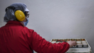 Le thon en conserve largement contamin&eacute; au mercure, s'alarment deux ONG