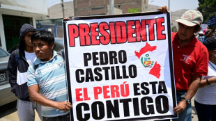 Justicia decide sobre prisi&oacute;n de Castillo en un Per&uacute; en zozobra