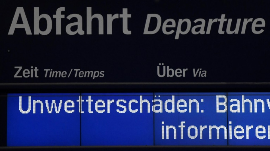 Umgest&uuml;rzte B&auml;ume und abgeknickte &Auml;ste st&ouml;ren immer h&auml;ufiger den Bahnverkehr