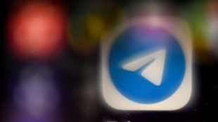 Francia detiene a 55 hombres por pornograf&iacute;a infantil en Telegram
