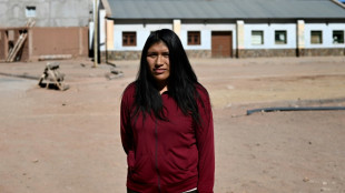 Le lithium du nord-ouest argentin, entre manne irr&eacute;sistible et inqui&eacute;tudes