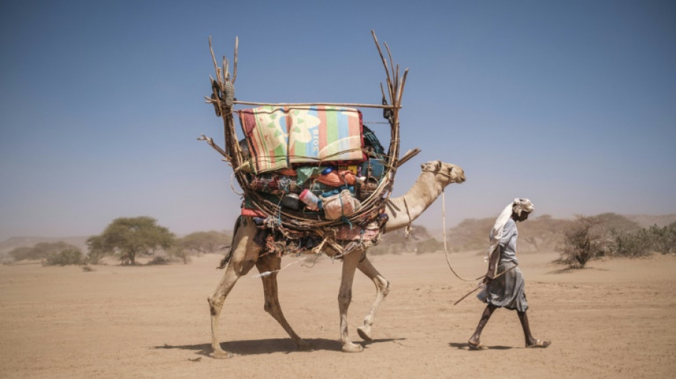 La angustia de los pastores sin reba&ntilde;o en el este de Etiop&iacute;a