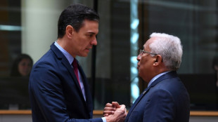 Espa&ntilde;a y Portugal presentan plan a la UE para bajar el precio de la electricidad