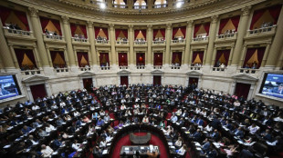 Argentine: l'&eacute;lan d&eacute;r&eacute;gulateur de Milei &agrave; l'&eacute;preuve du parlement