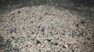 Una alta responsable de Madagascar, detenida en Reino Unido por sospechas de corrupci&oacute;n